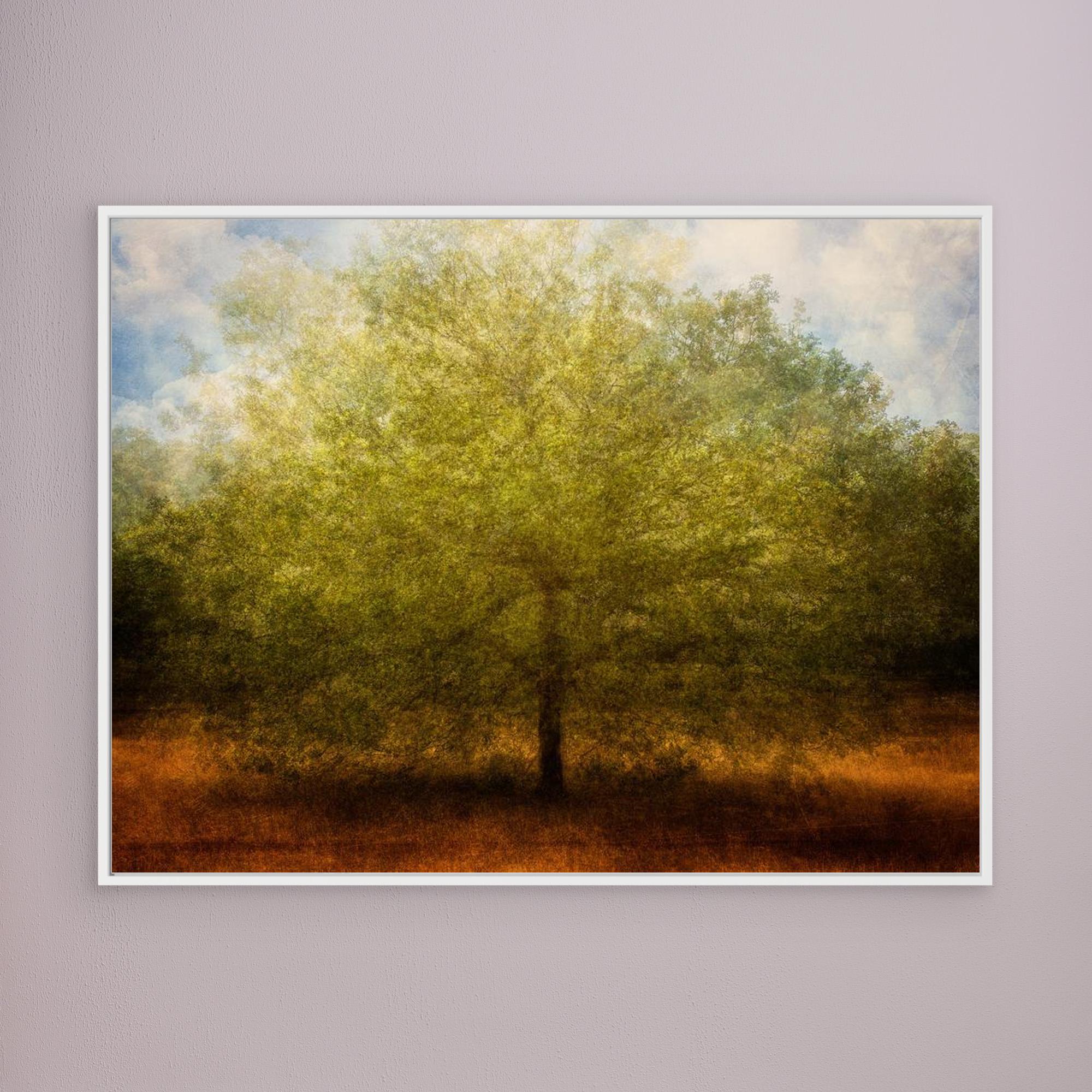 Embrace me by Katarina Holmström