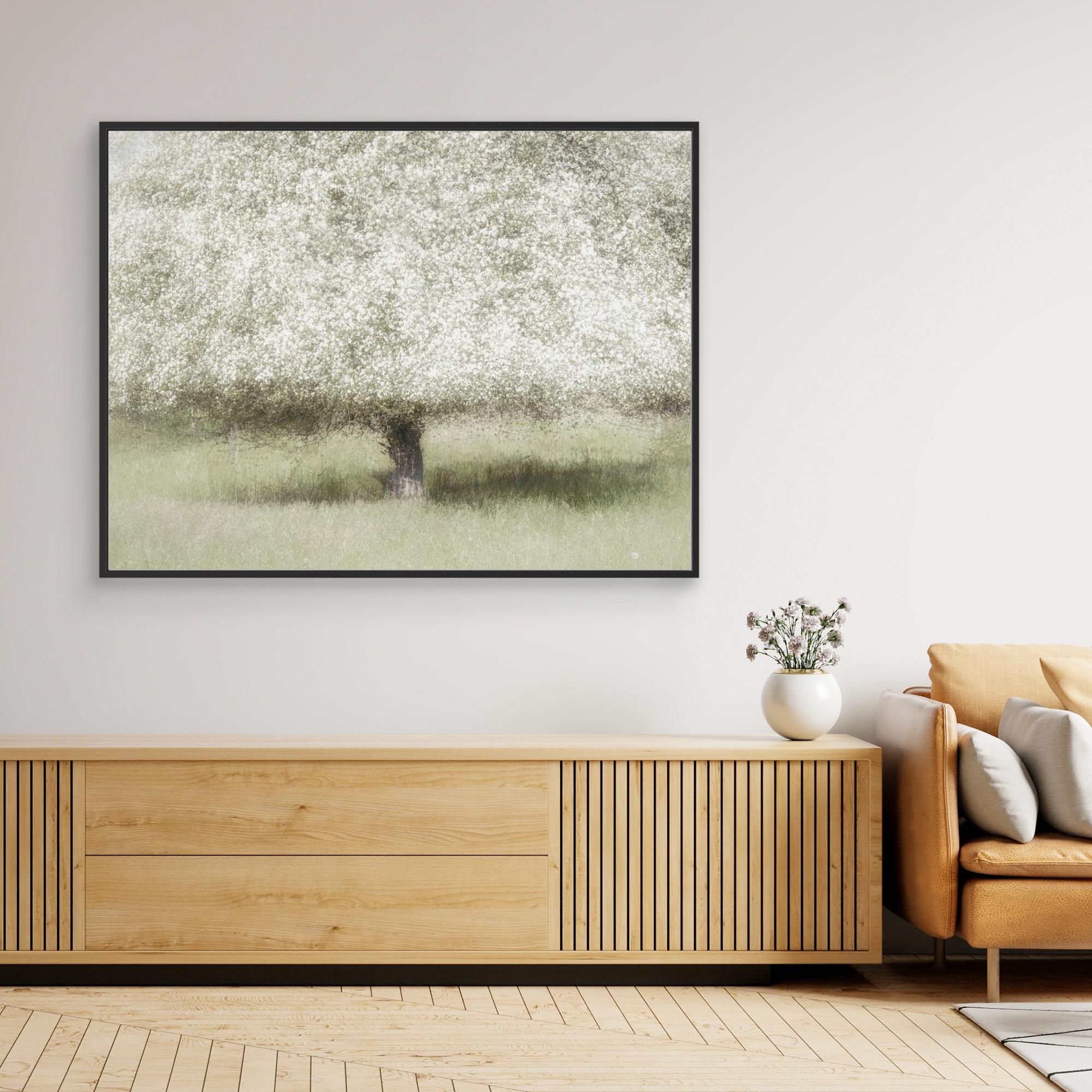 In the backyard by Nel Talen