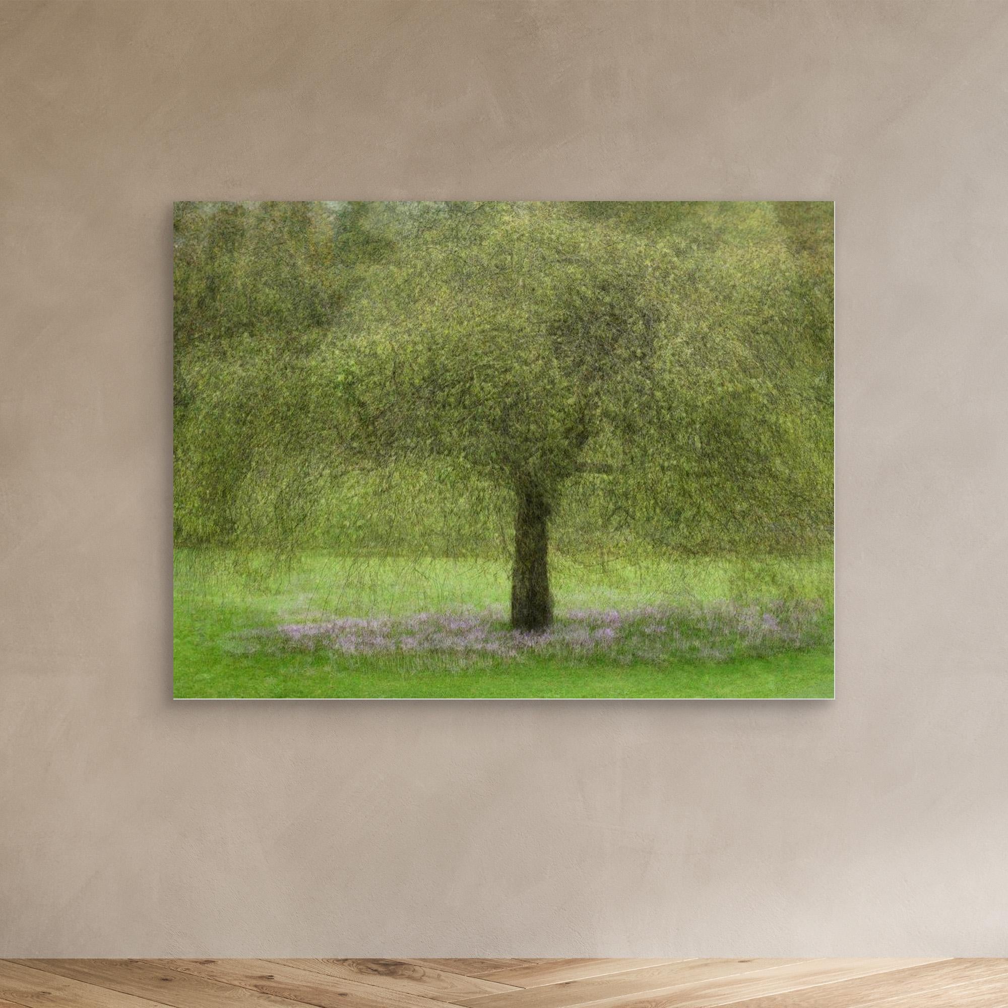 Youth by Katarina Holmström