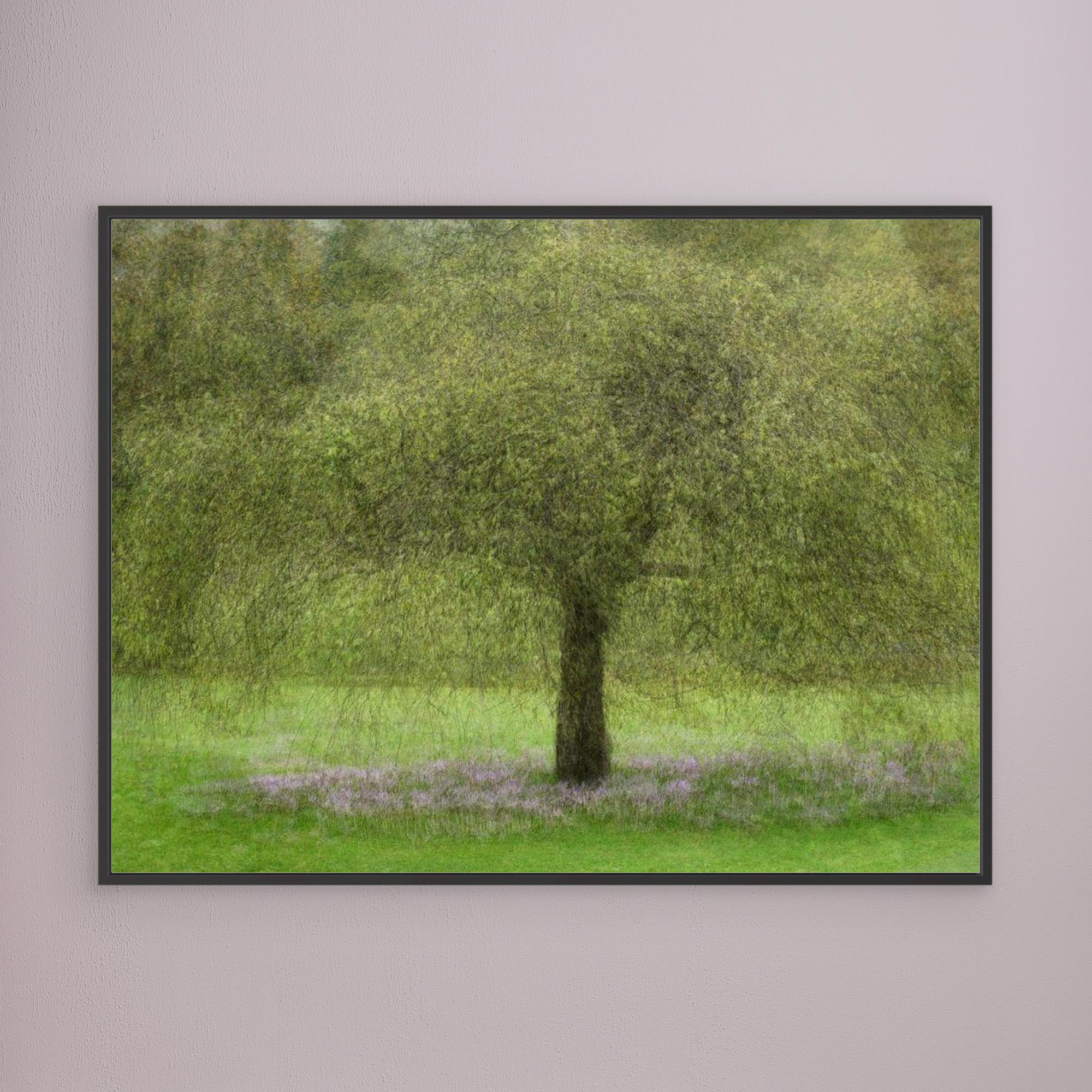 Youth by Katarina Holmström