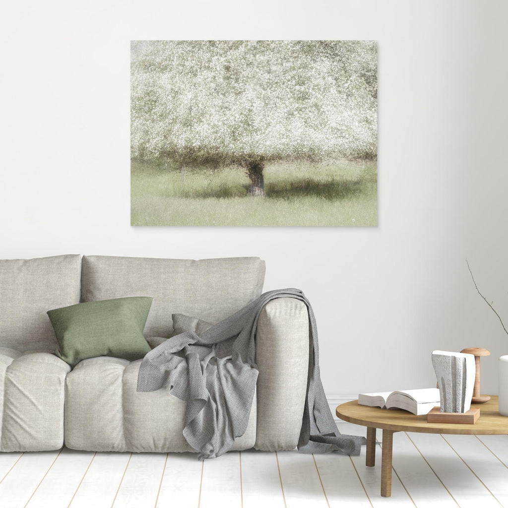 In the backyard by Nel Talen