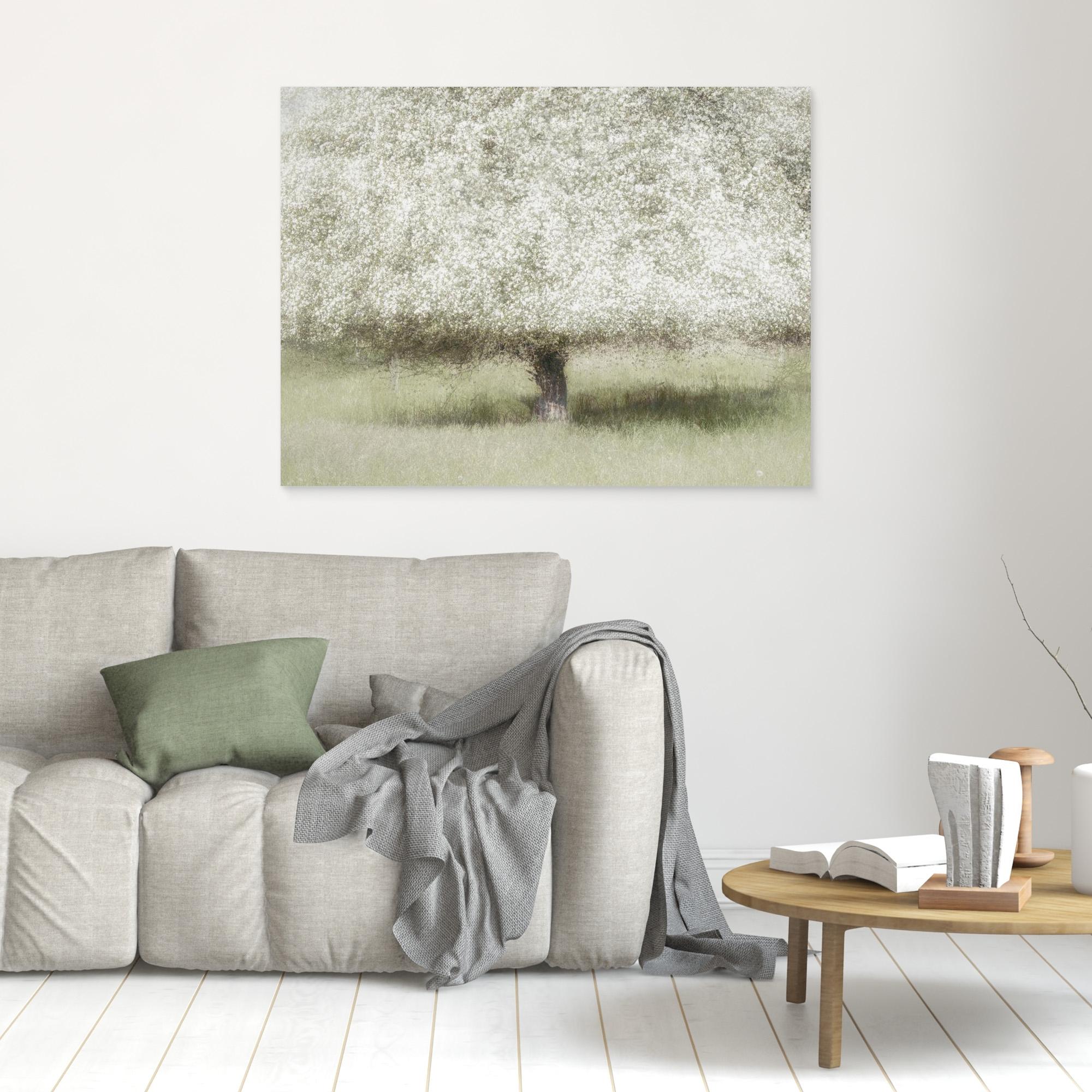 In the backyard by Nel Talen