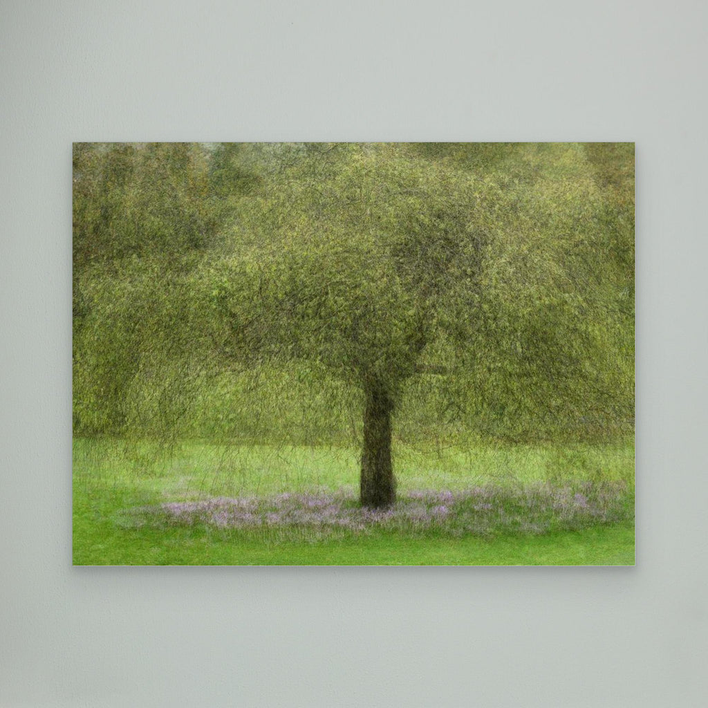 Youth by Katarina Holmström