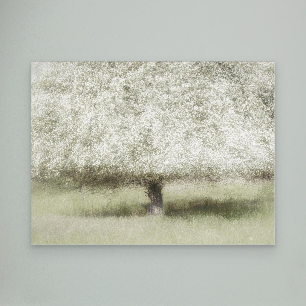 In the backyard by Nel Talen