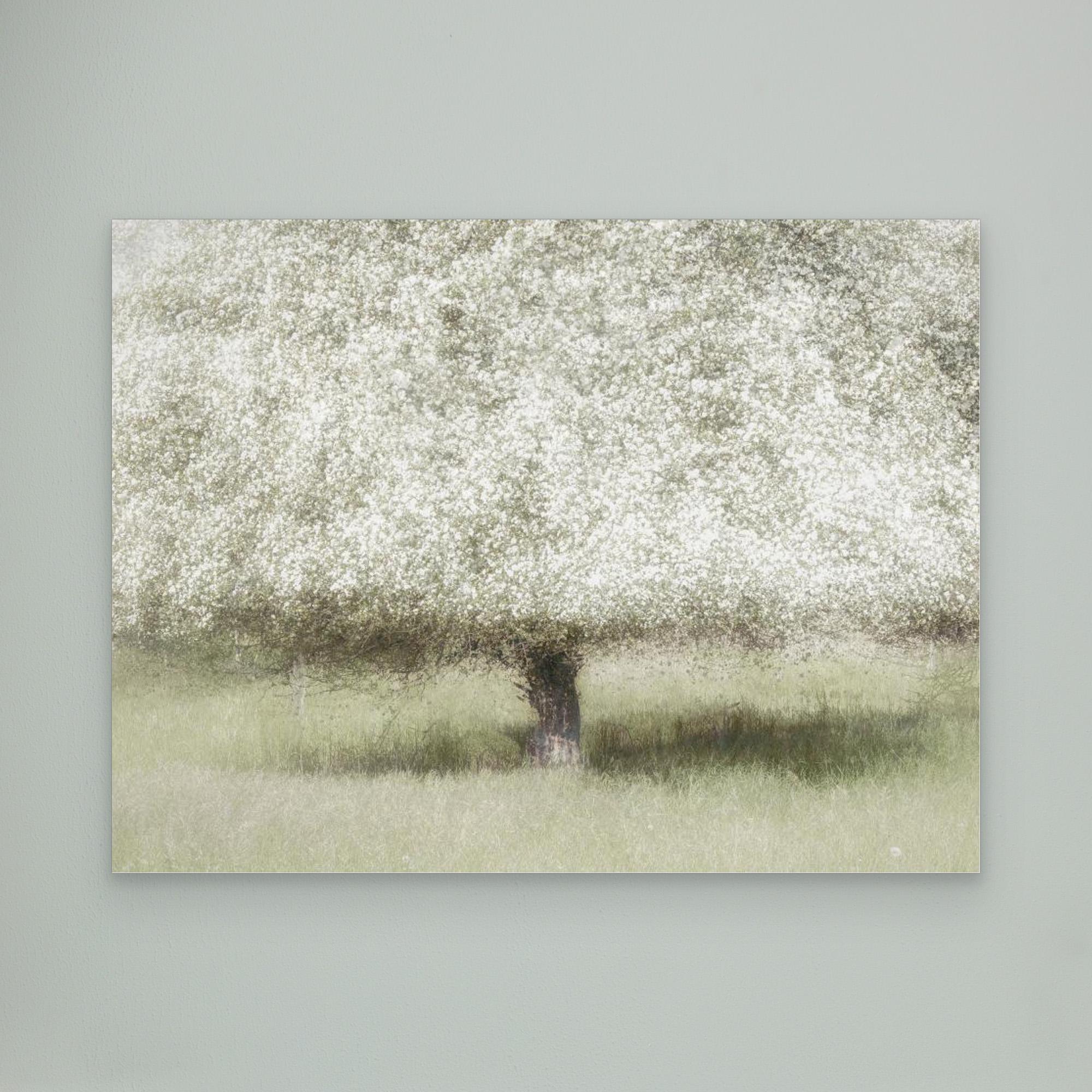 In the backyard by Nel Talen