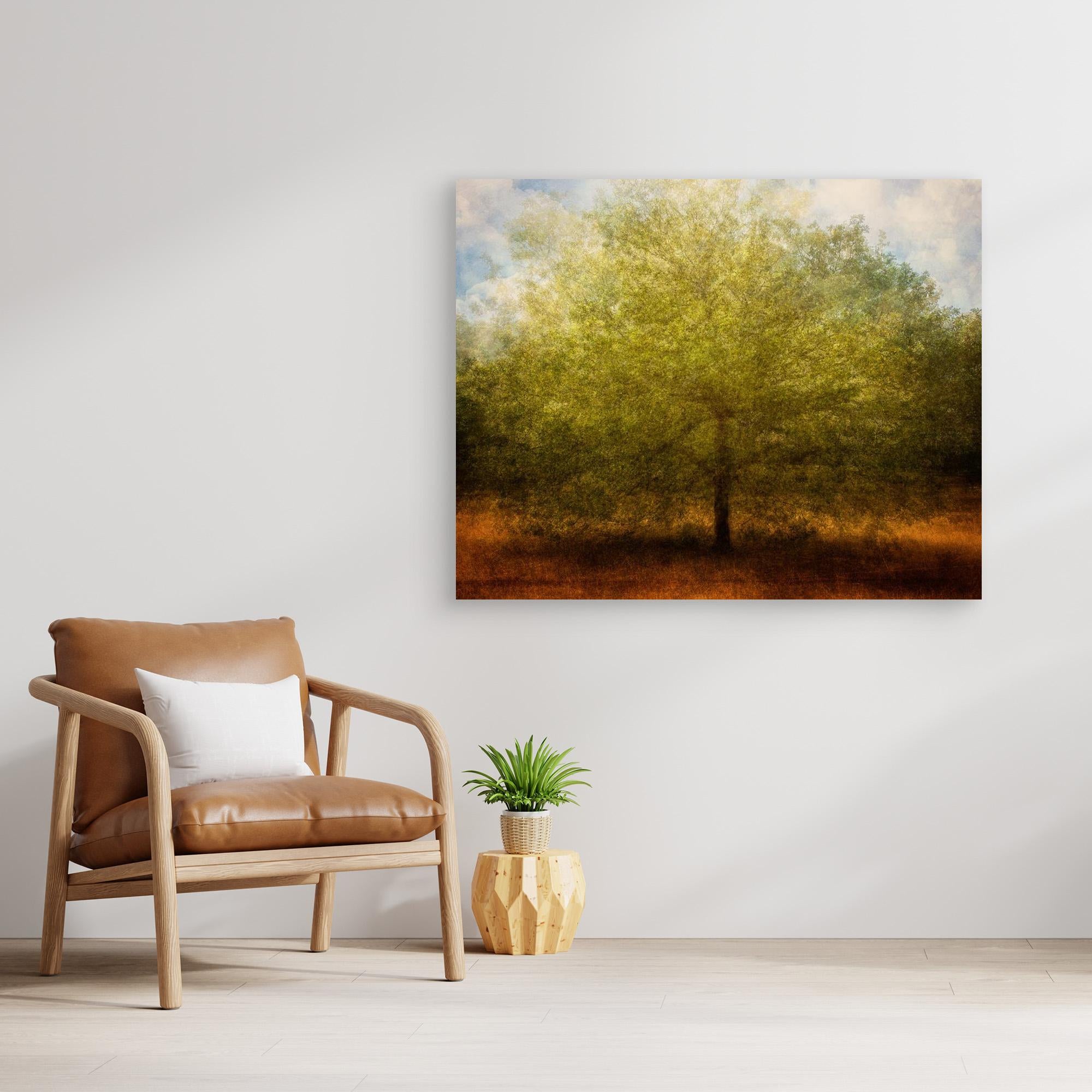 Embrace me by Katarina Holmström