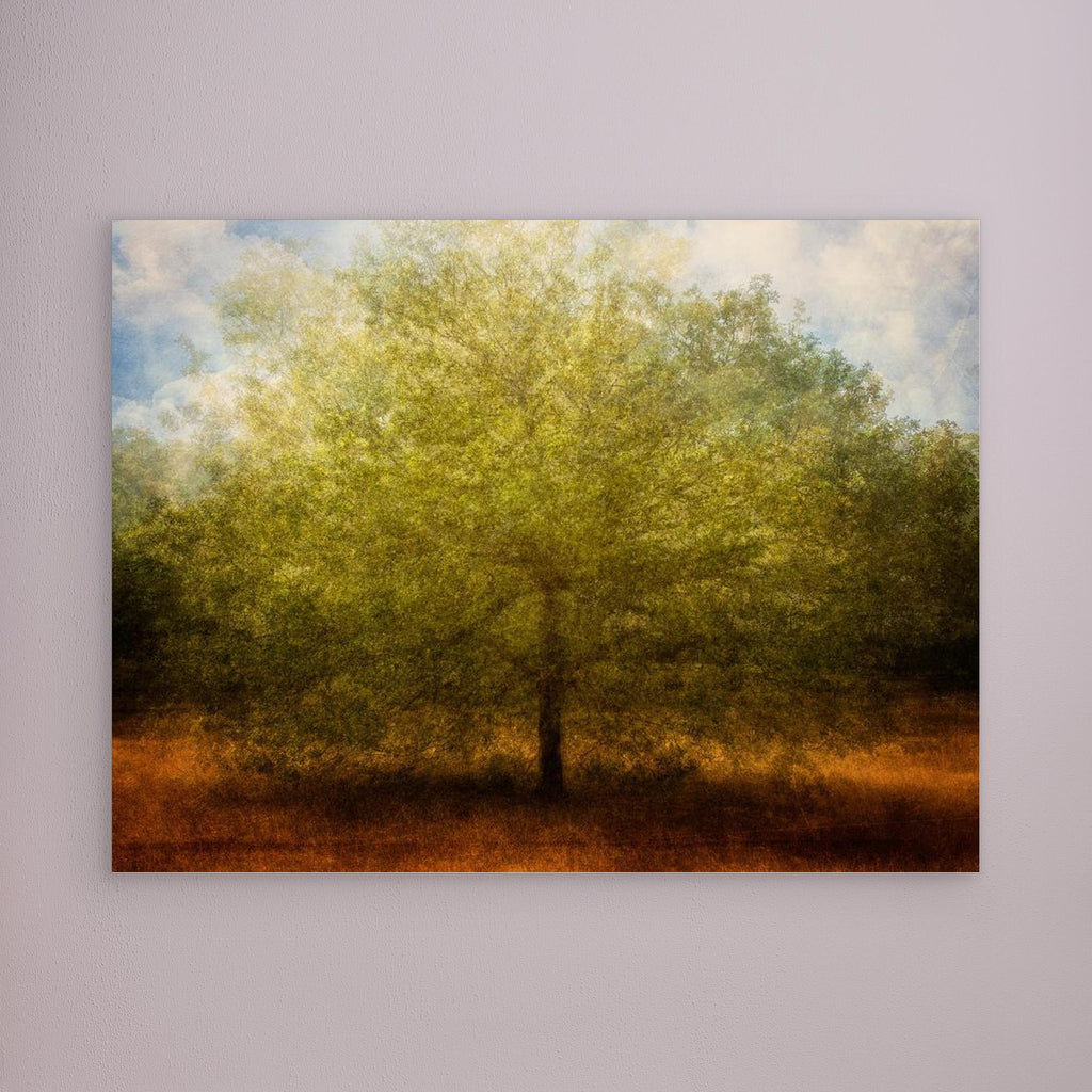 Embrace me by Katarina Holmström