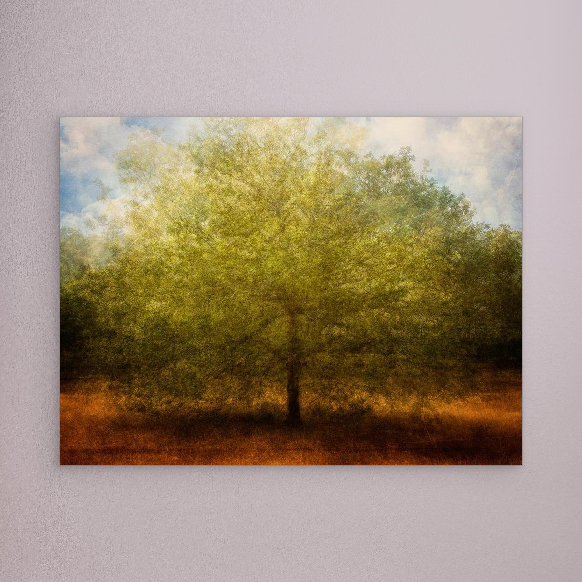 Embrace me by Katarina Holmström