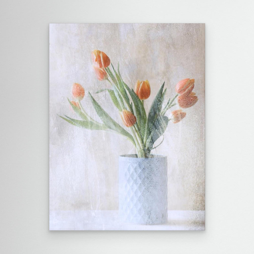 A bunch of tulips by Delphine Devos