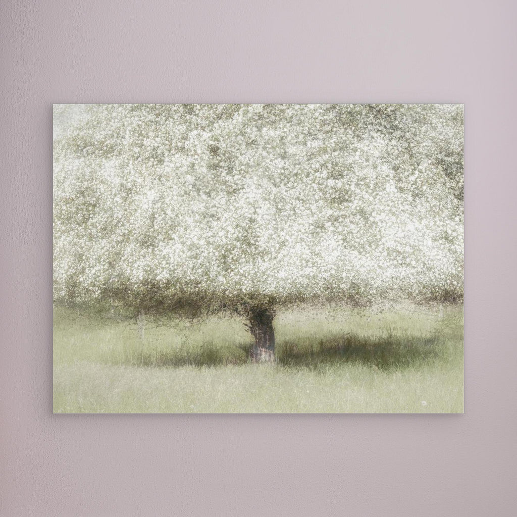 In the backyard by Nel Talen