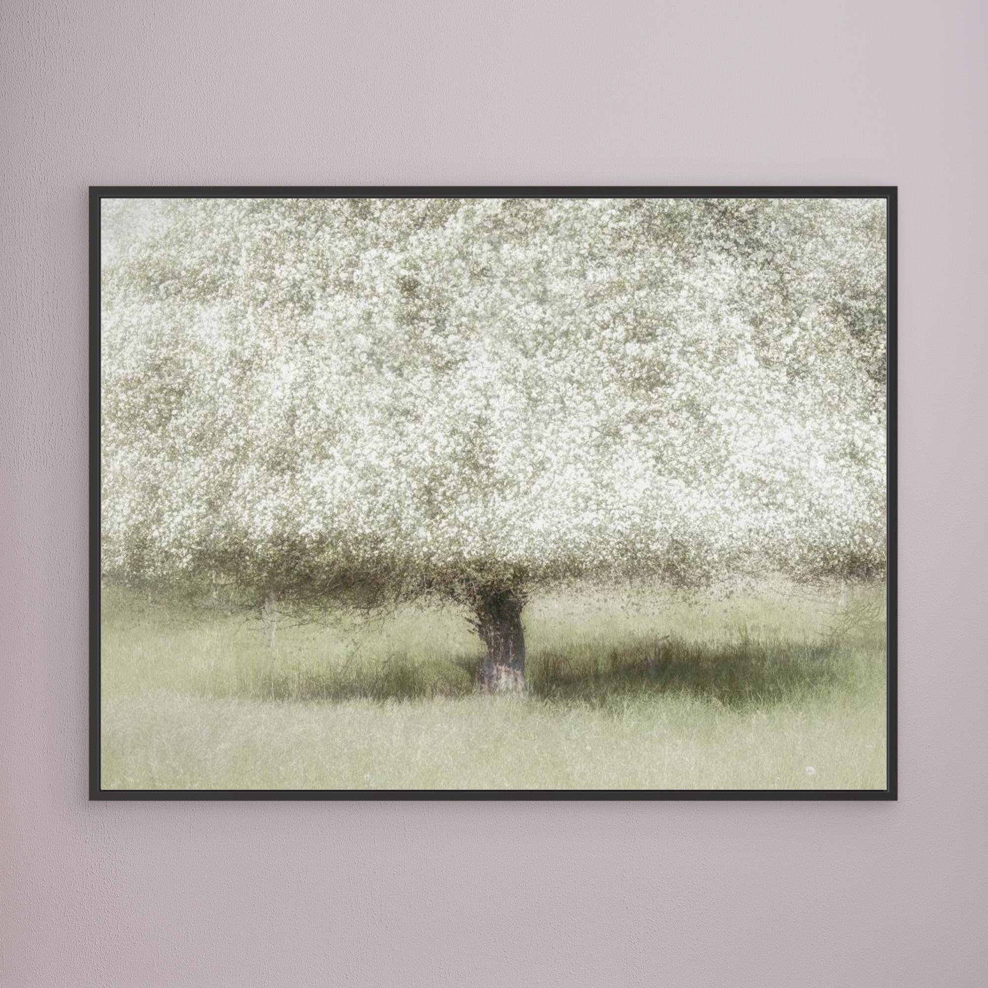 In the backyard by Nel Talen