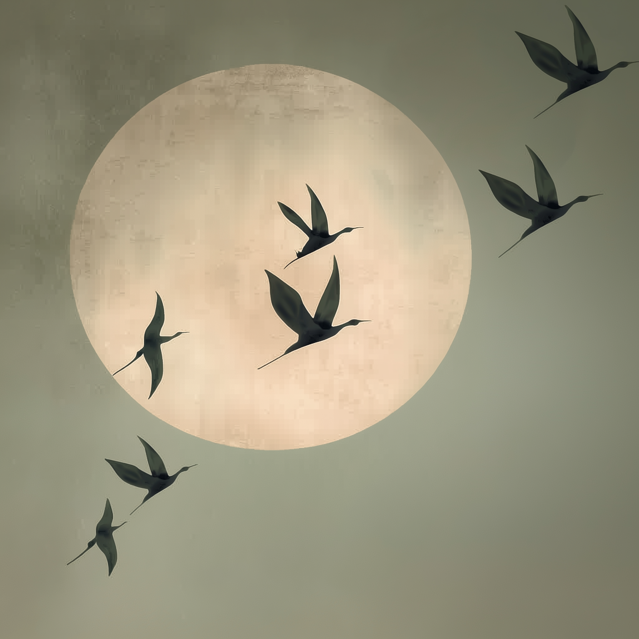 Sage Green Moon Wall Art – Minimalist Bird Framed Canvas