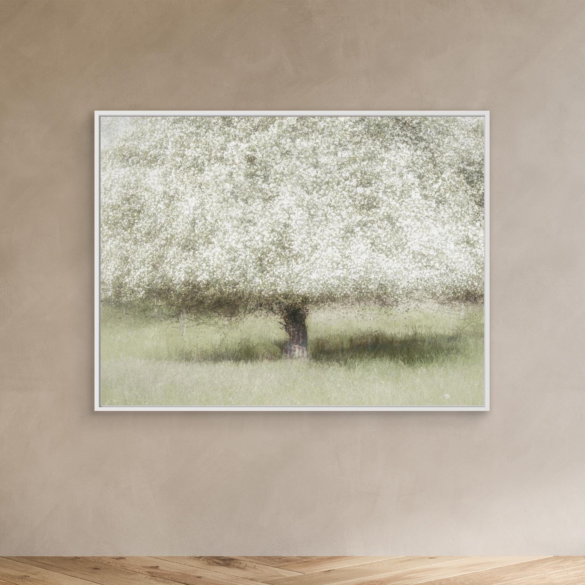 In the backyard by Nel Talen