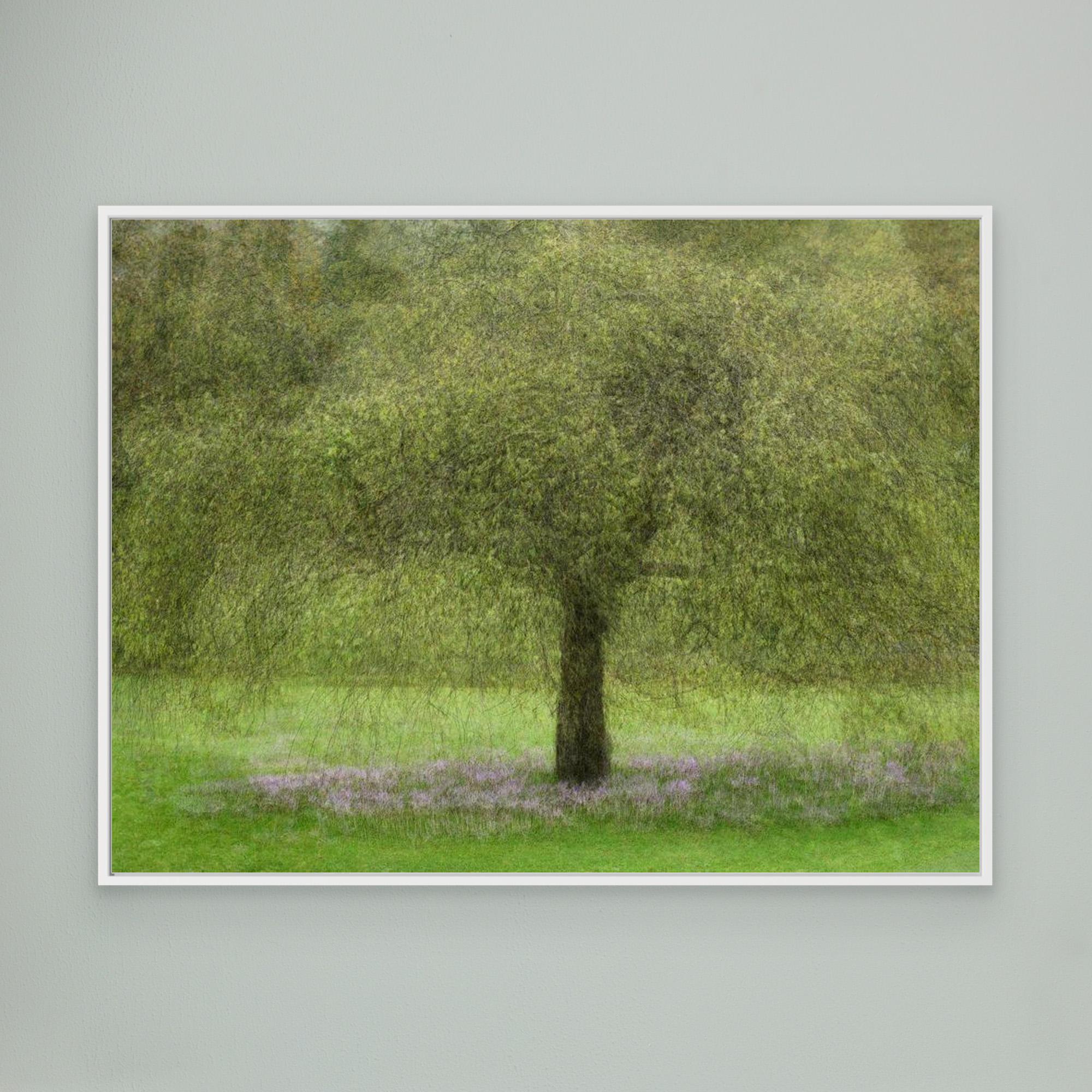 Youth by Katarina Holmström