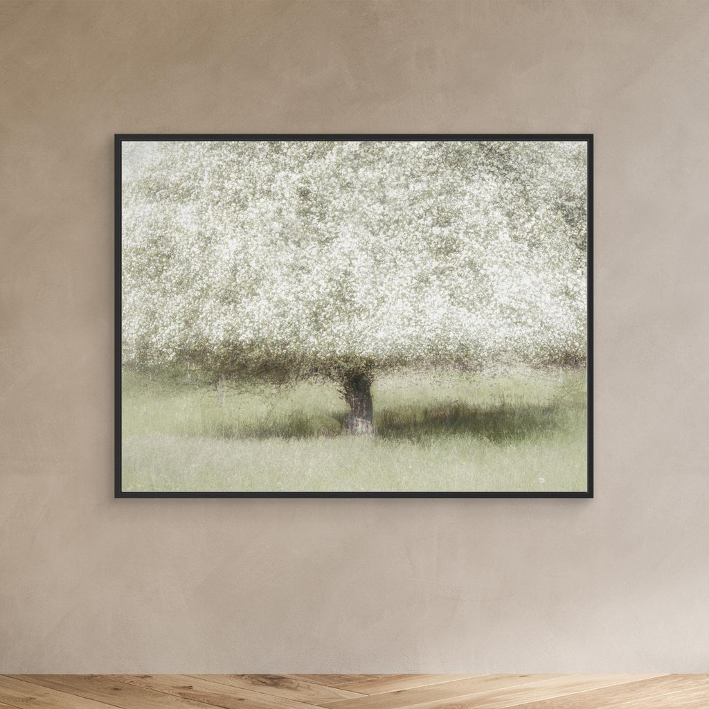 In the backyard by Nel Talen