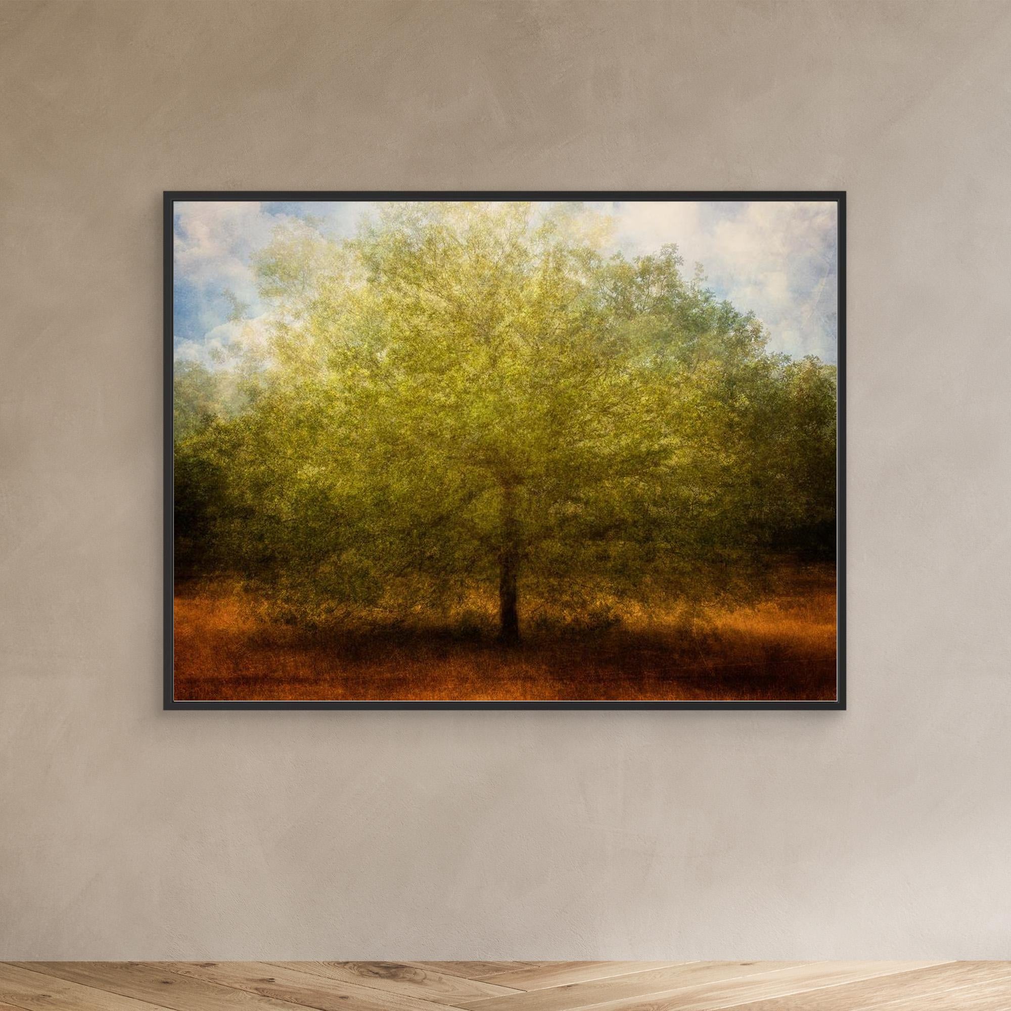 Embrace me by Katarina Holmström