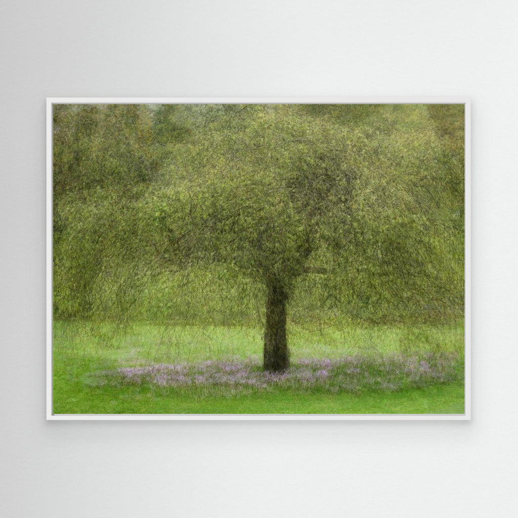 Youth by Katarina Holmström