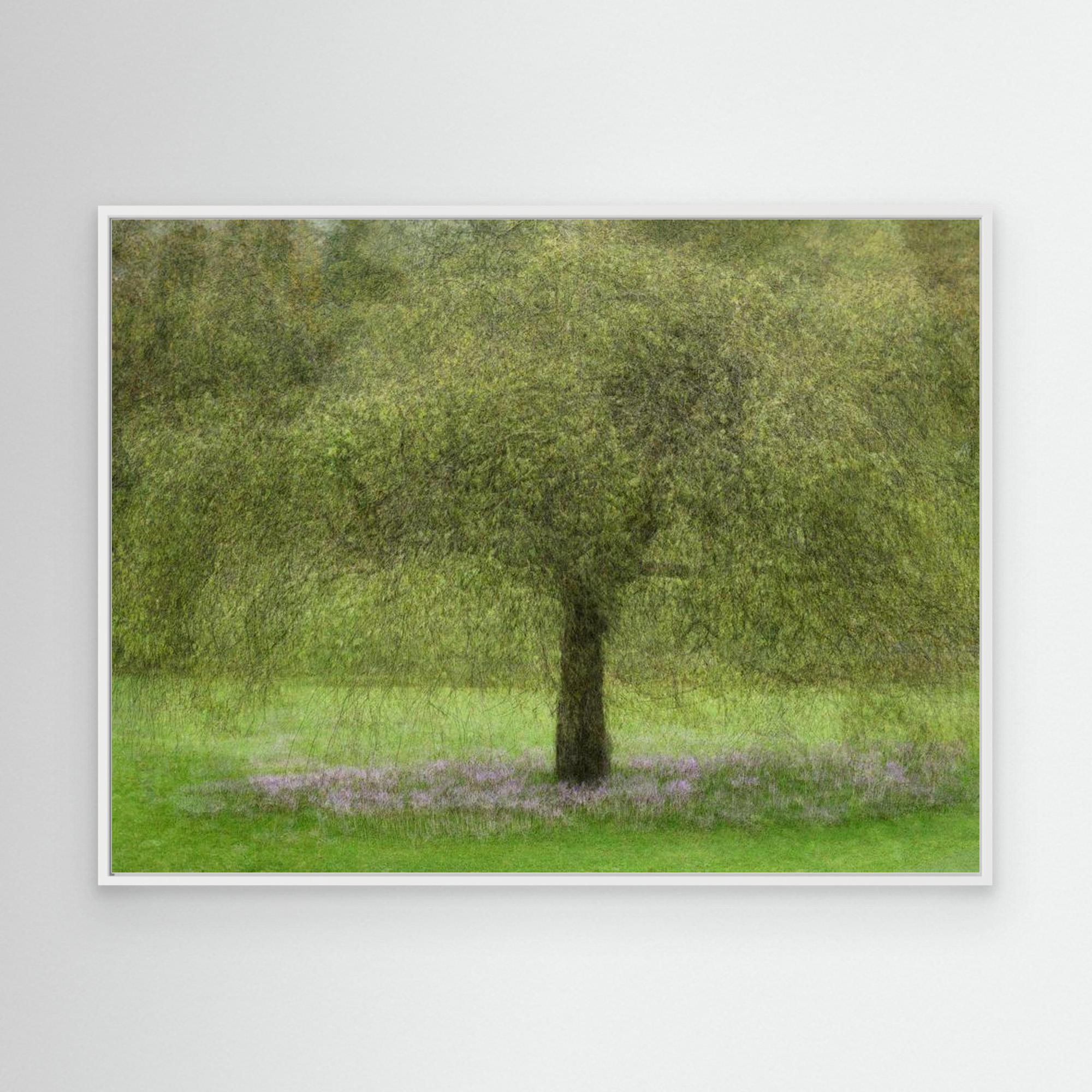 Youth by Katarina Holmström