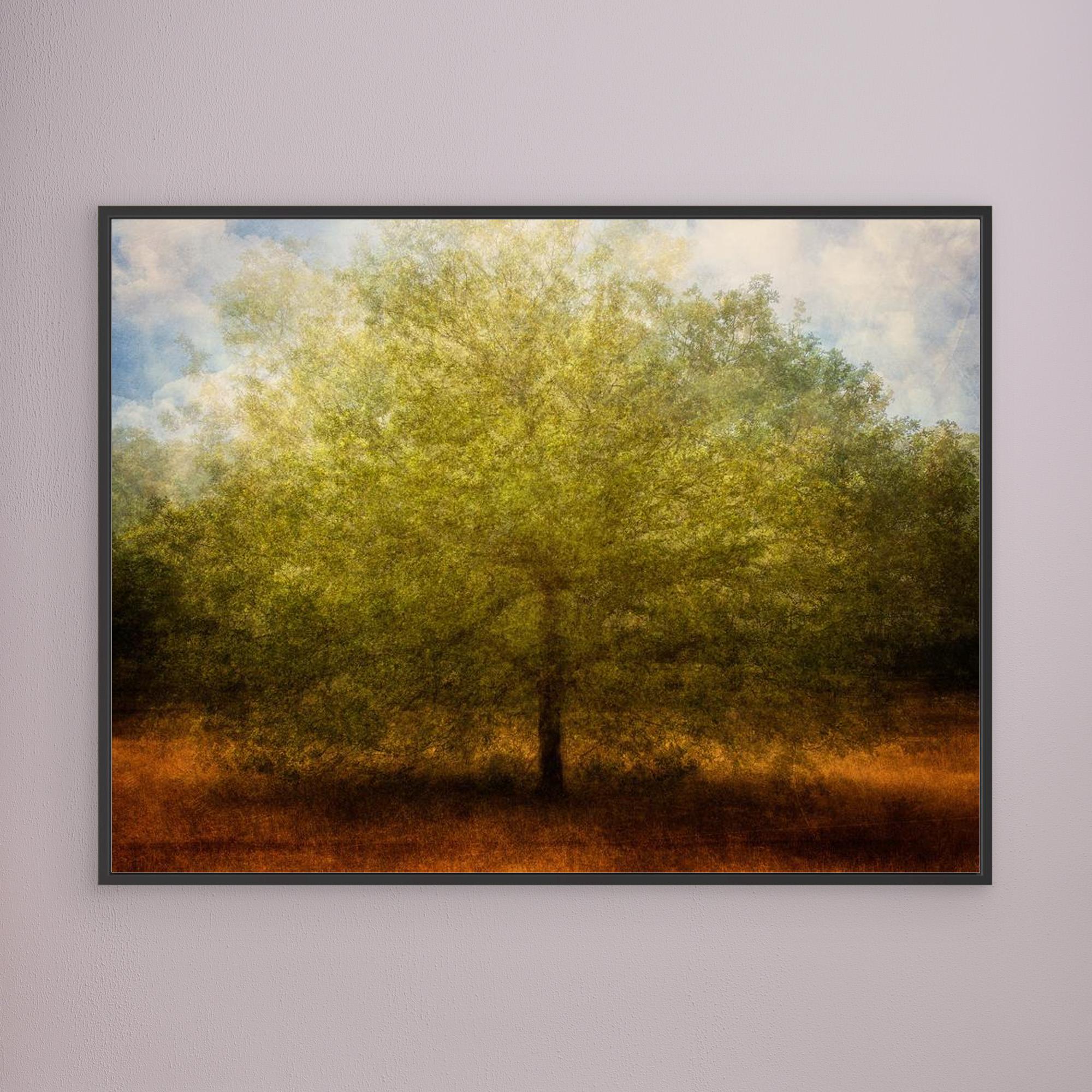 Embrace me by Katarina Holmström