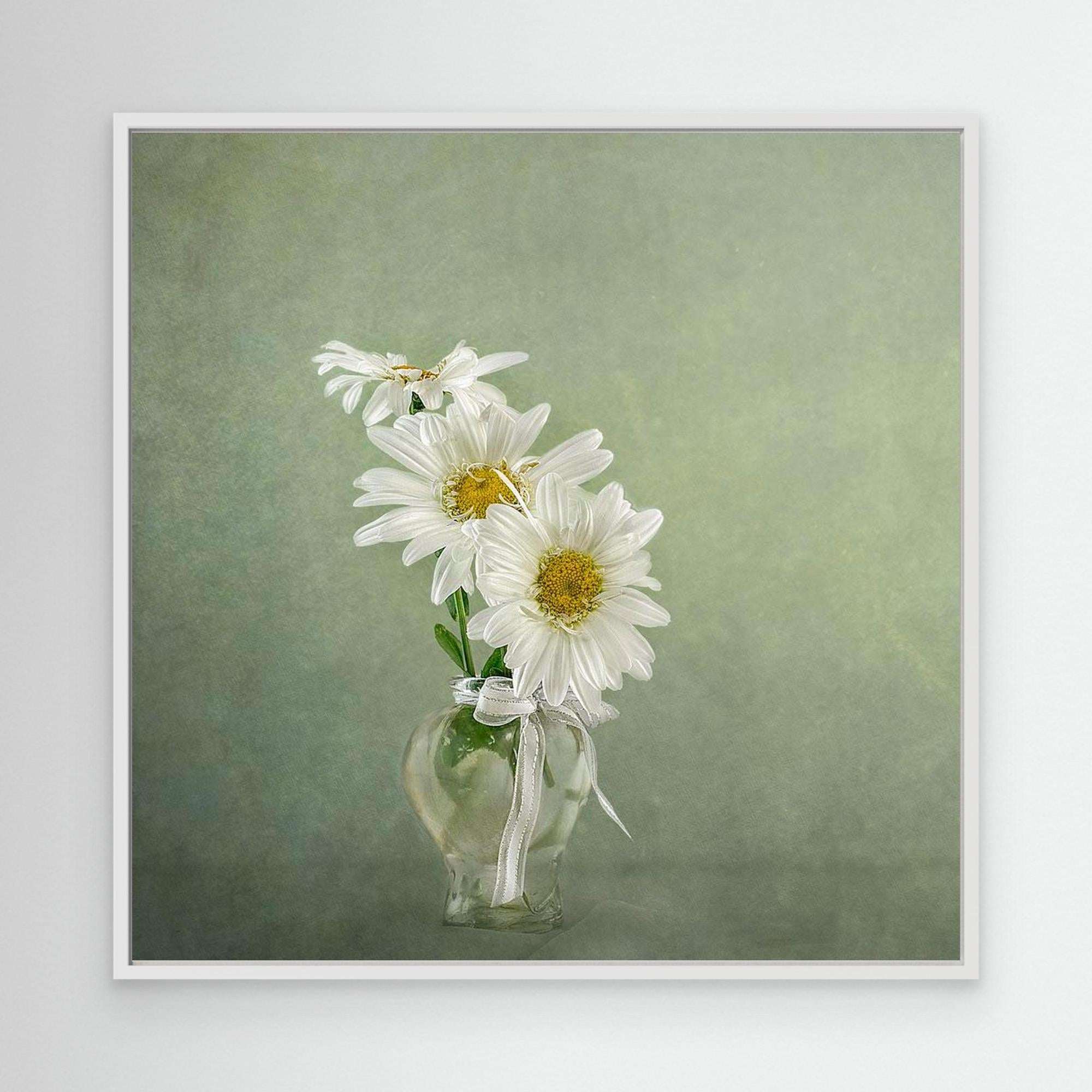 3 White Daisies 