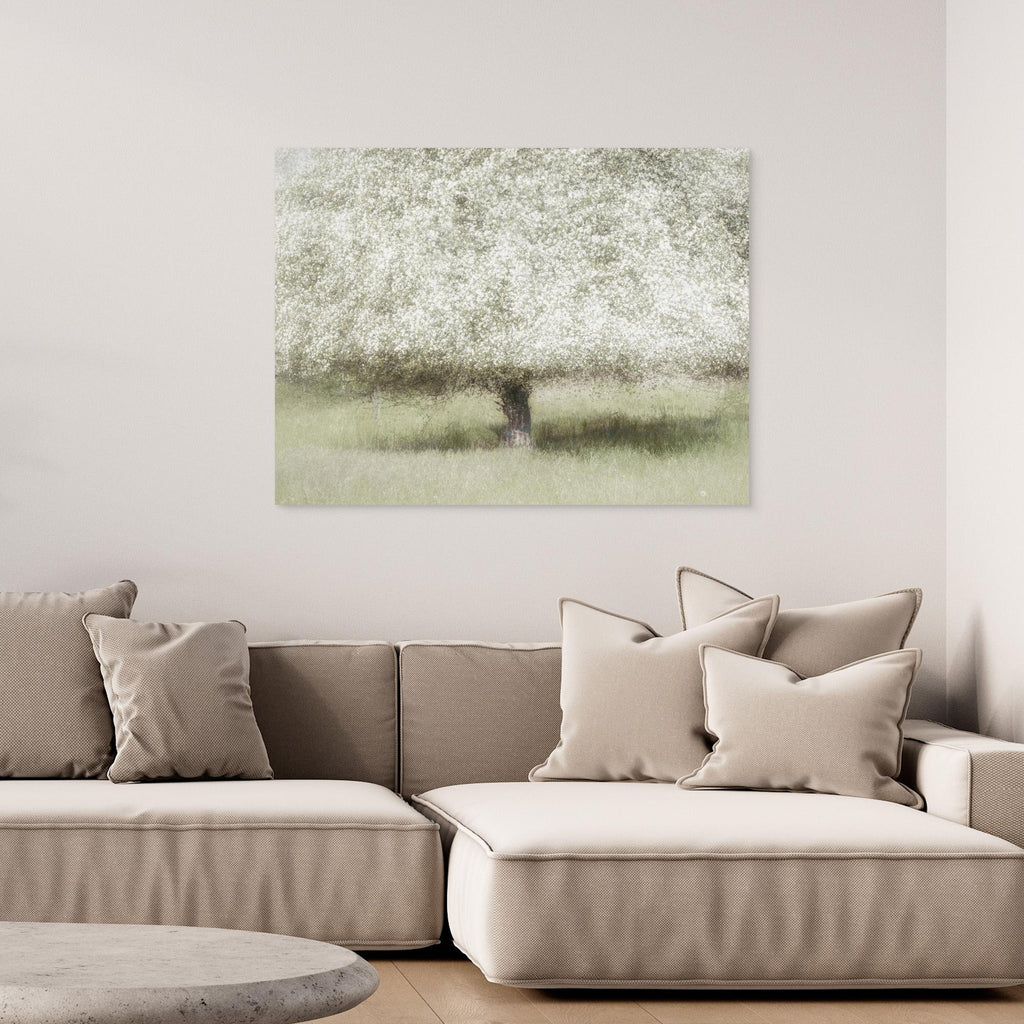 In the backyard by Nel Talen