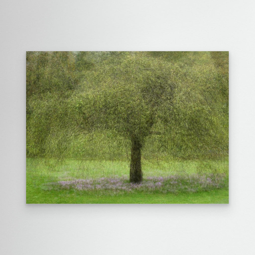 Youth by Katarina Holmström