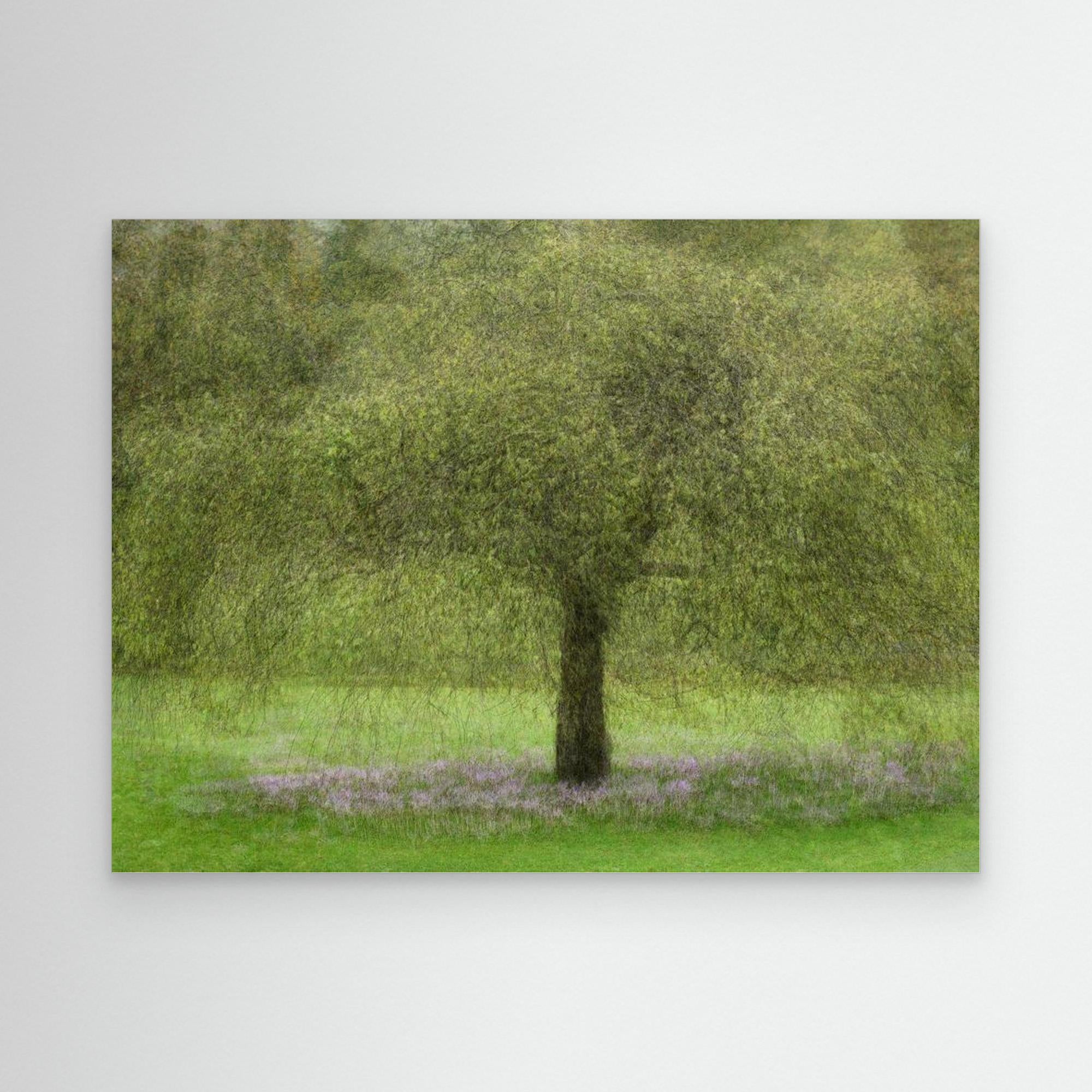 Youth by Katarina Holmström