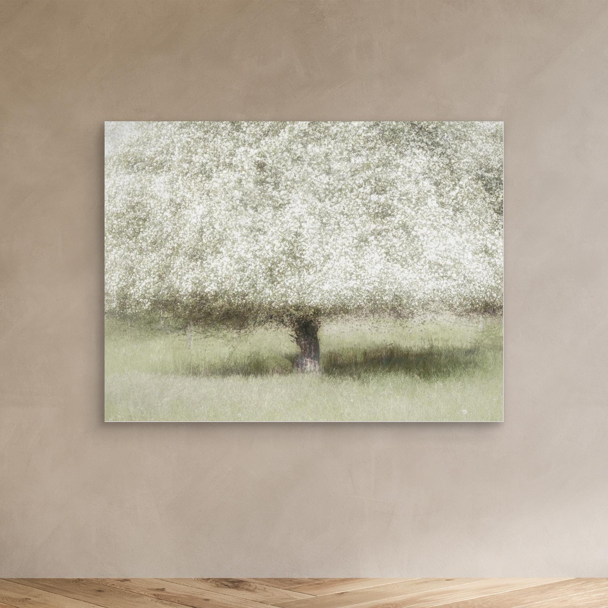 In the backyard by Nel Talen