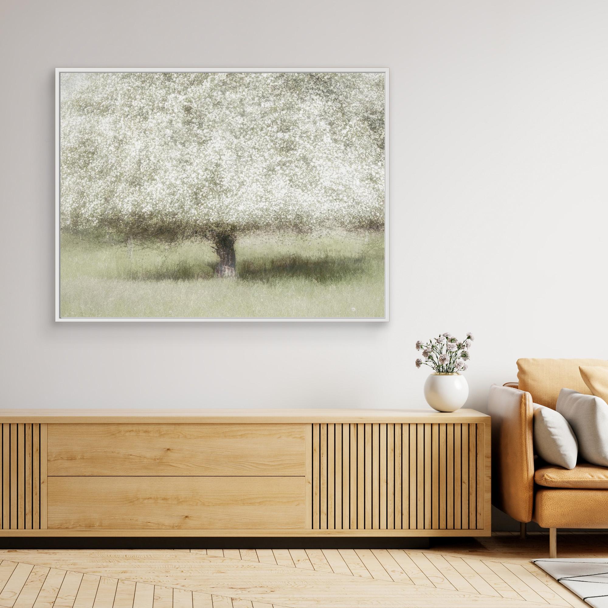 In the backyard by Nel Talen