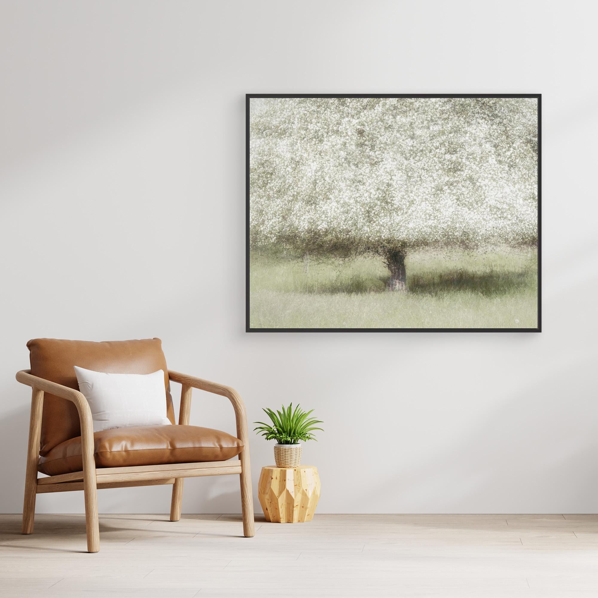 In the backyard by Nel Talen