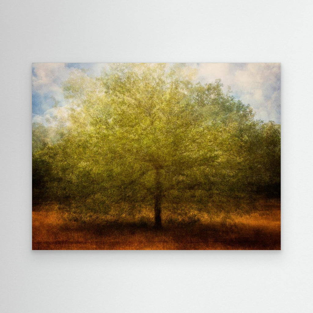 Embrace me by Katarina Holmström