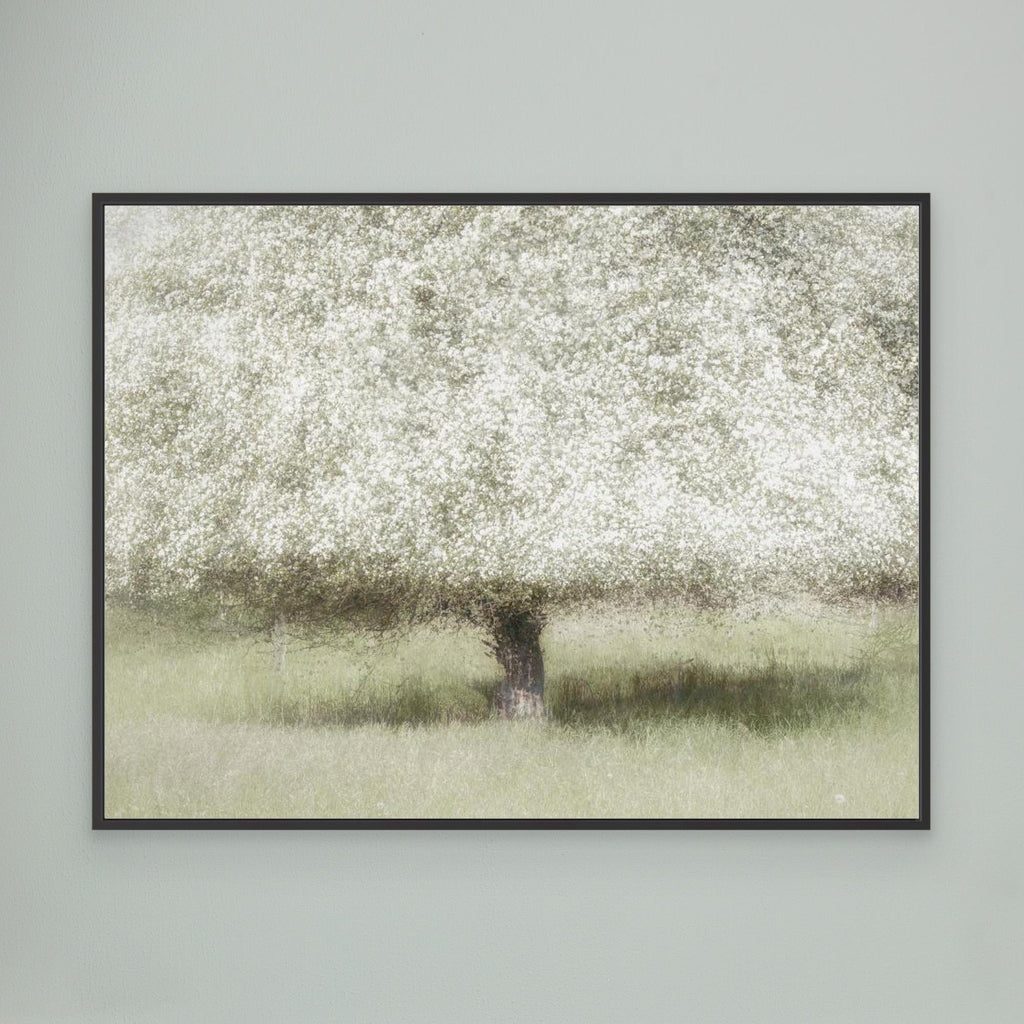 In the backyard by Nel Talen