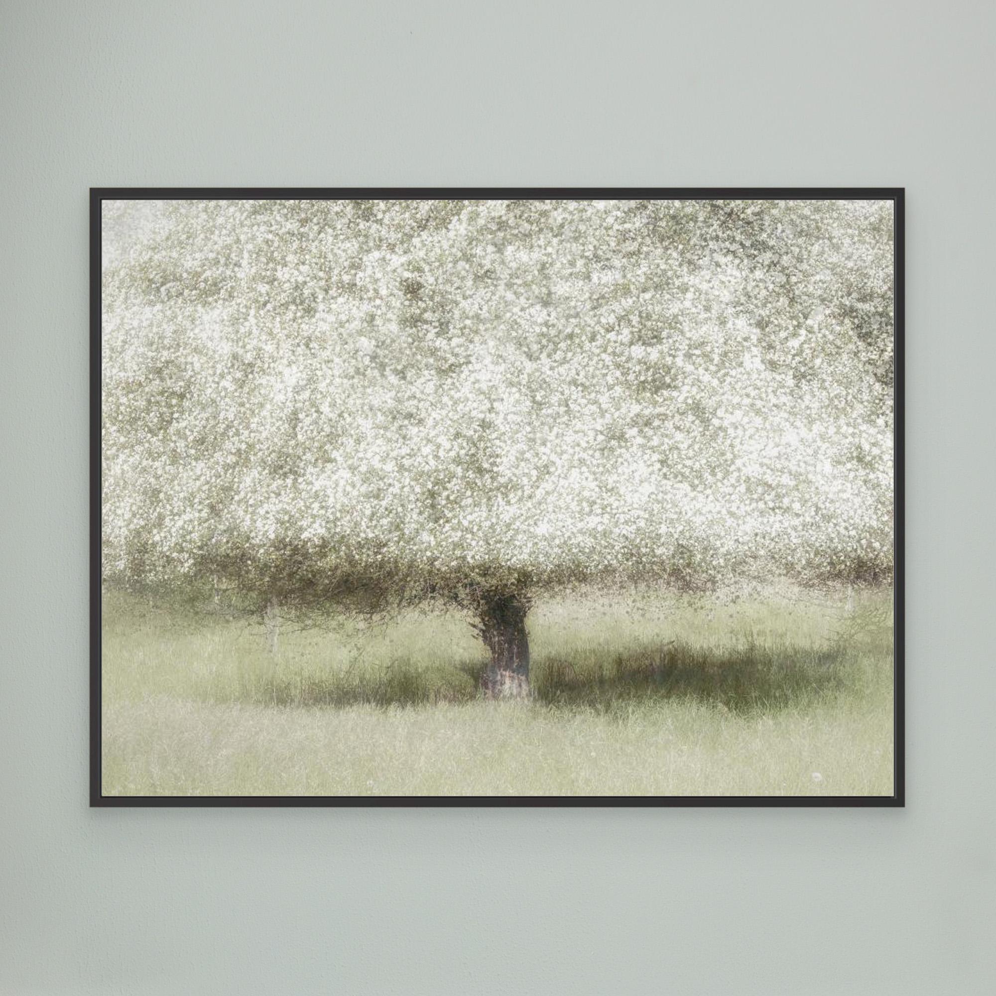 In the backyard by Nel Talen