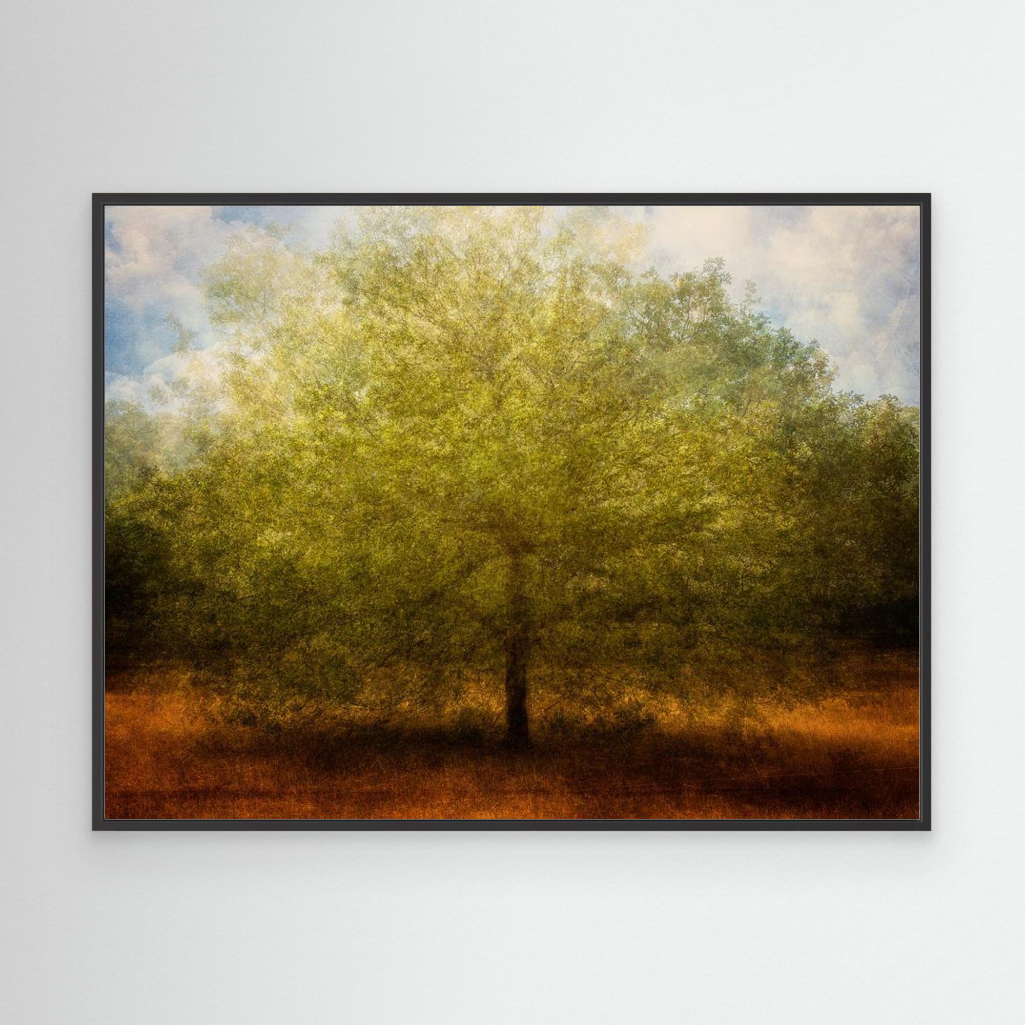 Embrace me by Katarina Holmström