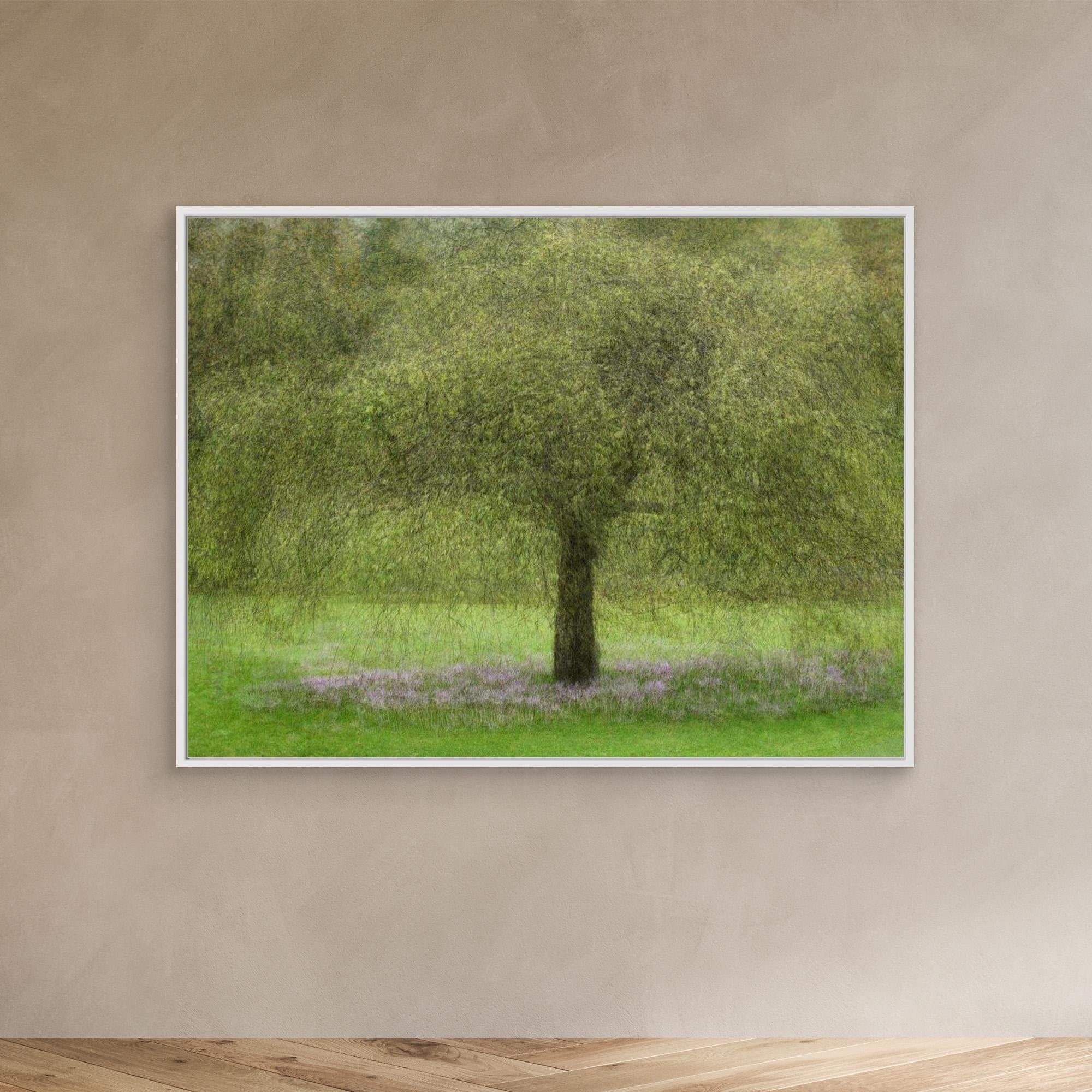 Youth by Katarina Holmström