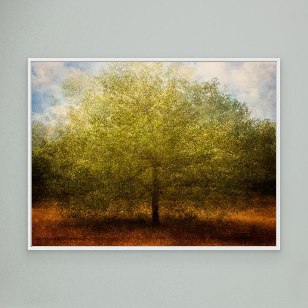 Embrace me by Katarina Holmström