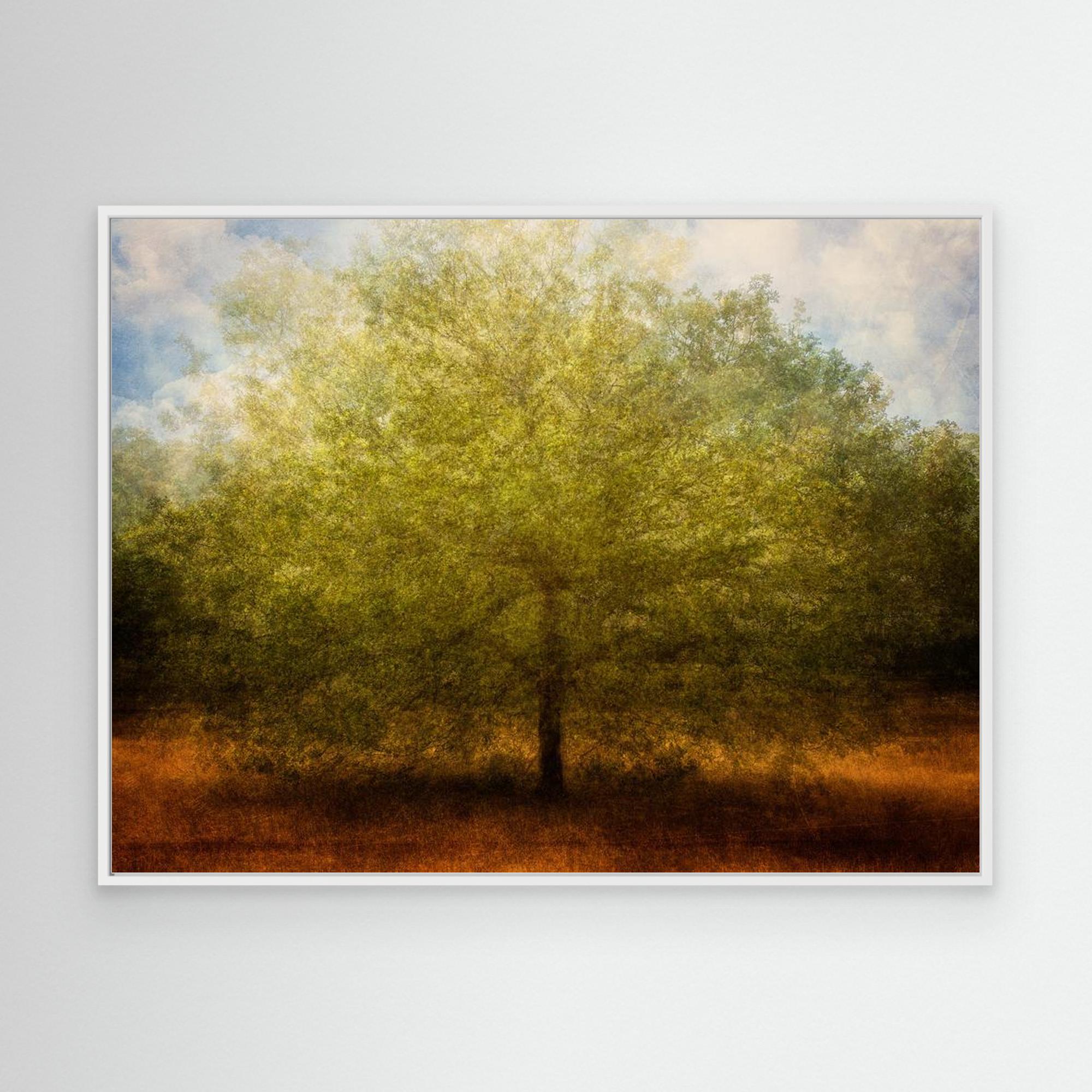 Embrace me by Katarina Holmström