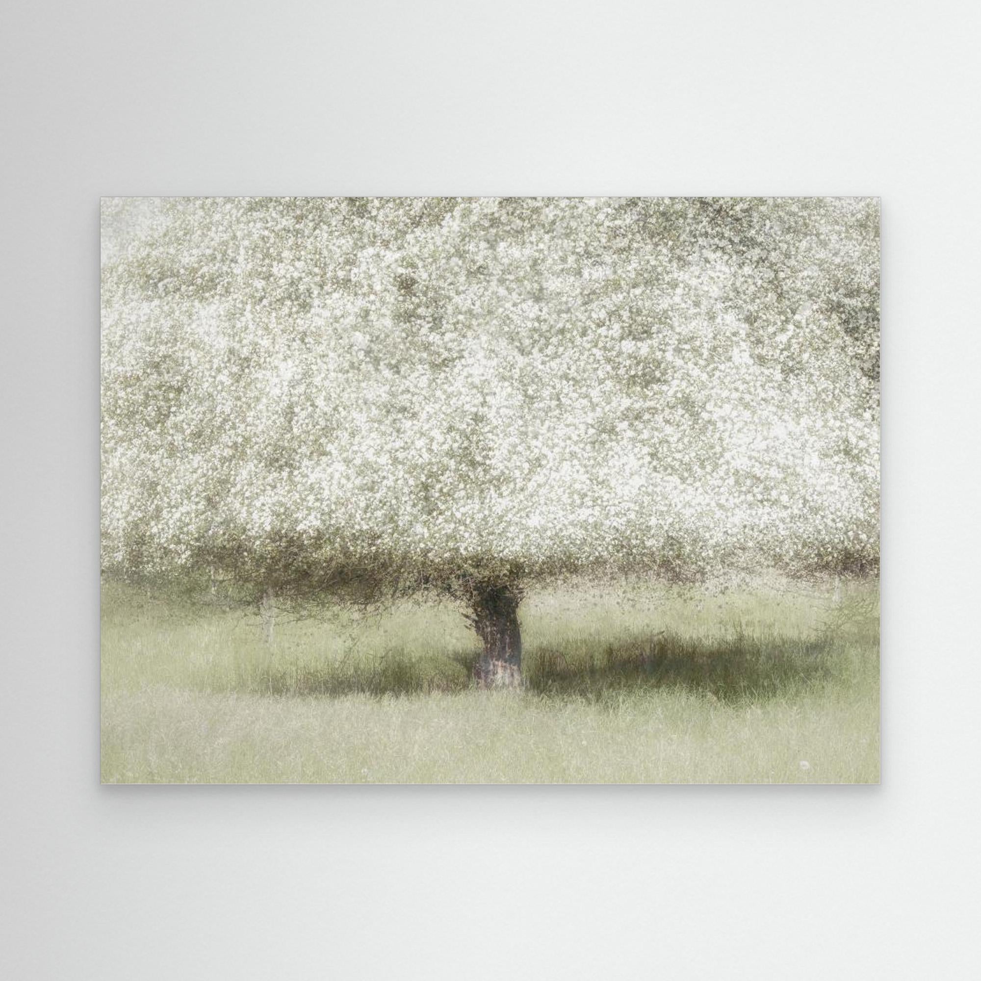 In the backyard by Nel Talen